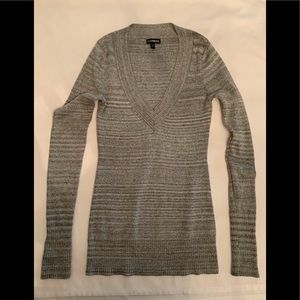 Express Long Sleeve V-Neck Sweater